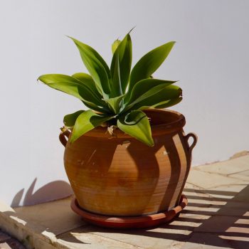 pottery_decoration